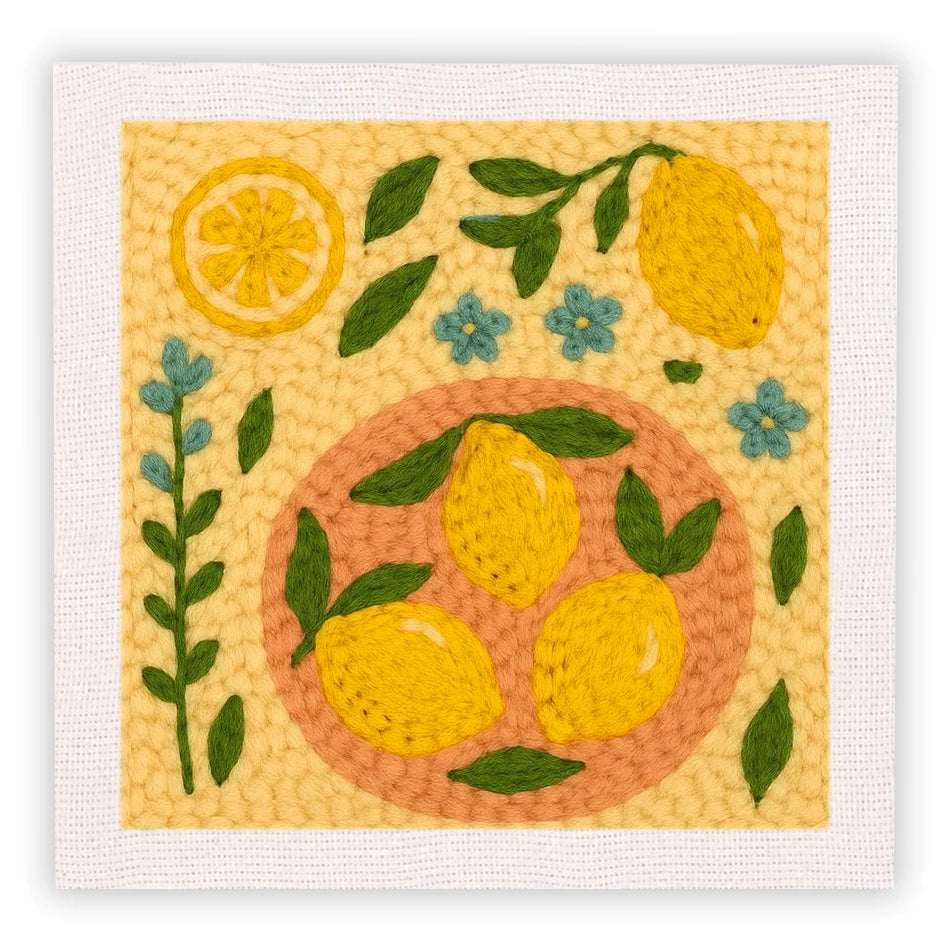 Kit Punch Needle Fruits Frais avec Cadre — photo 18