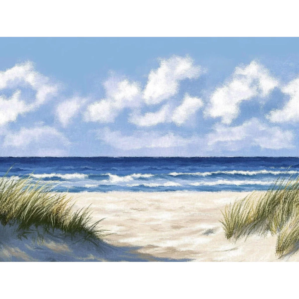 Tableau peinture par numero paysage de plage paradisiaque avec dunes de sable fin ocean bleu et gros nuages blancs dans le ciel.