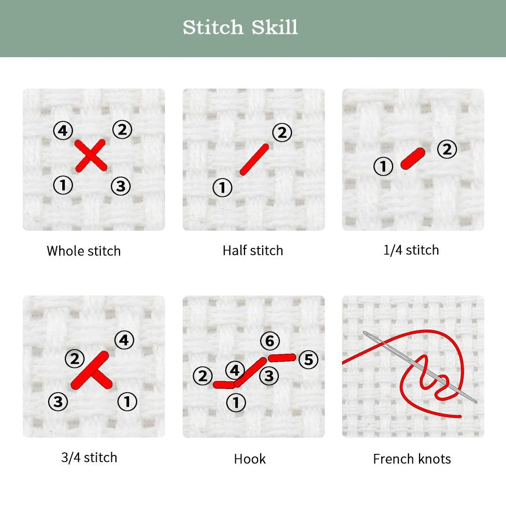 Infographie didactique expliquant les différents types de points comme le plein point le demi-point le quart de point et le point arrière.