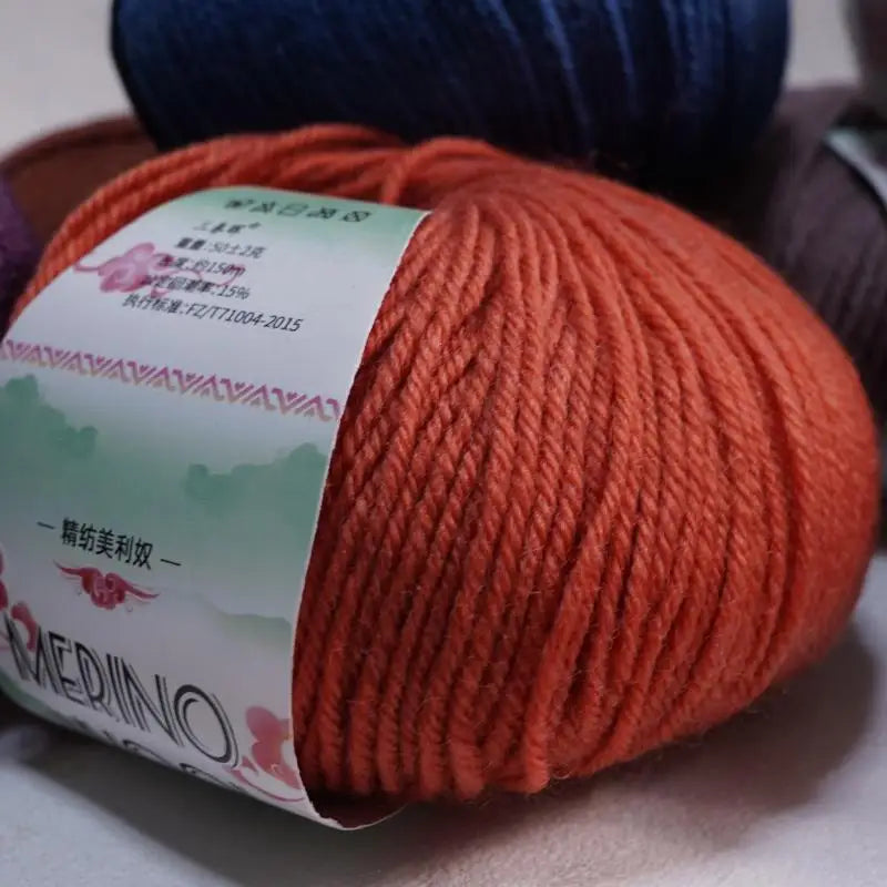 Kit 2 Pelotes Mérinos + Outils — photo 10